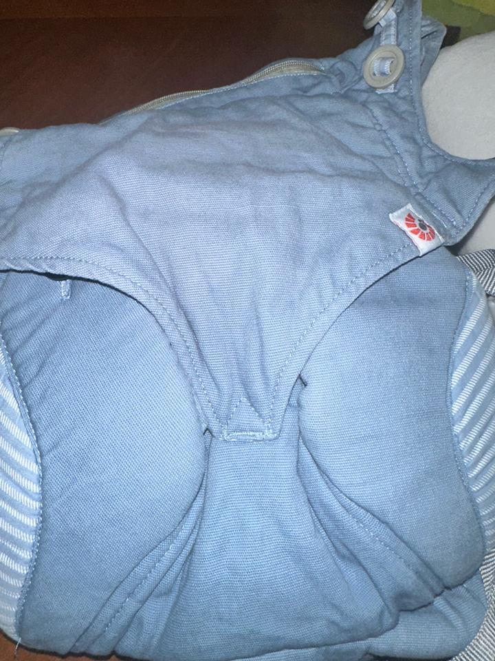 Ergobaby