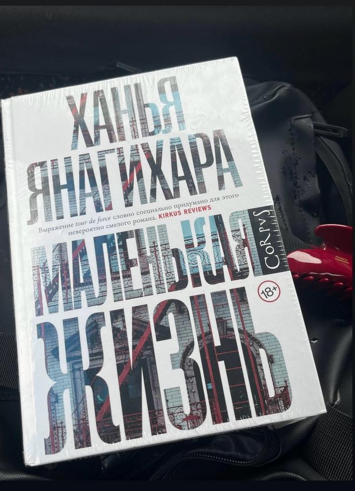 Маленькая жизнь