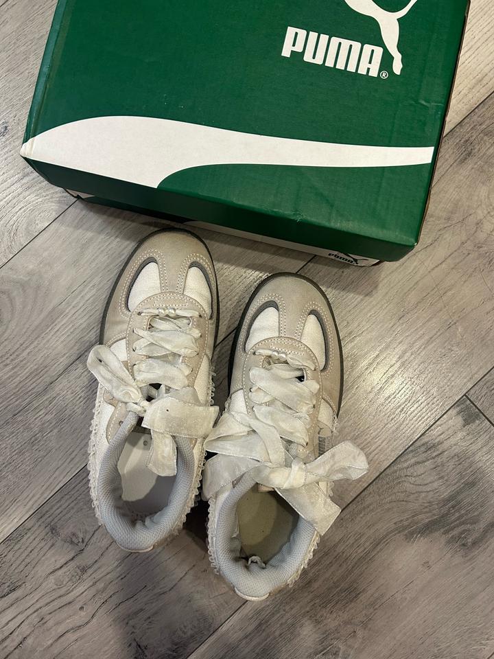 Puma