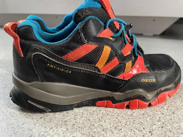Ботинки Geox