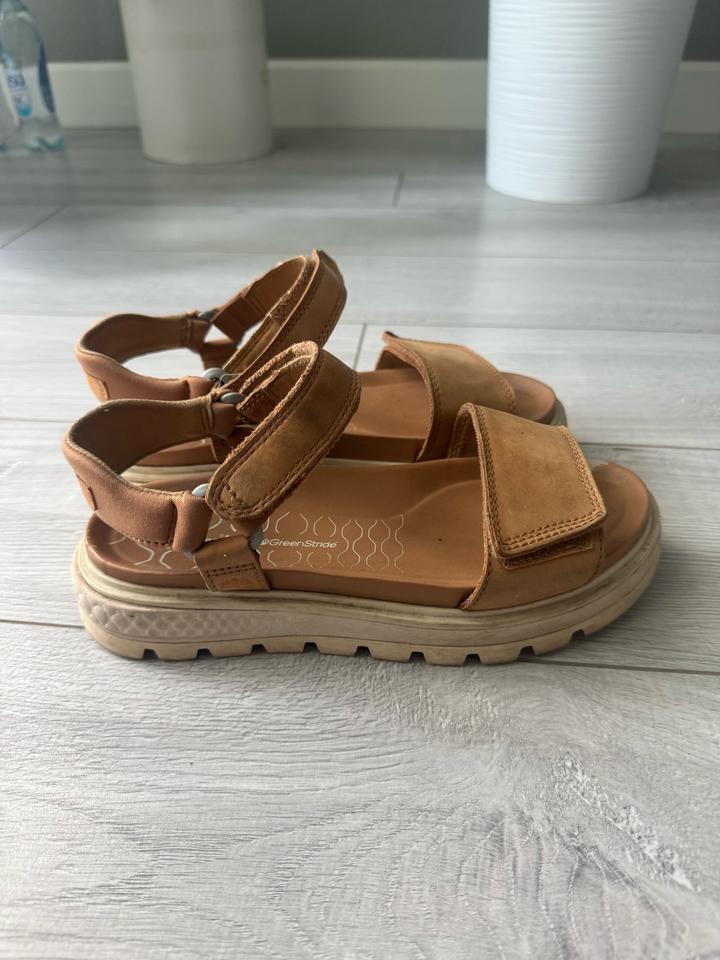 Timberland