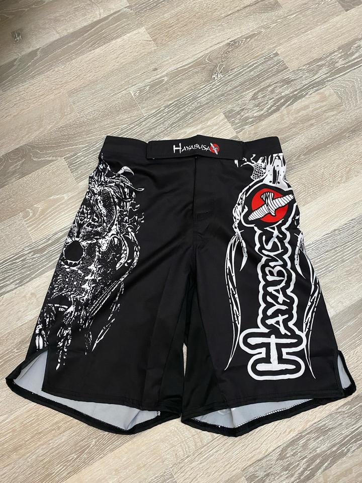 Hayabusa