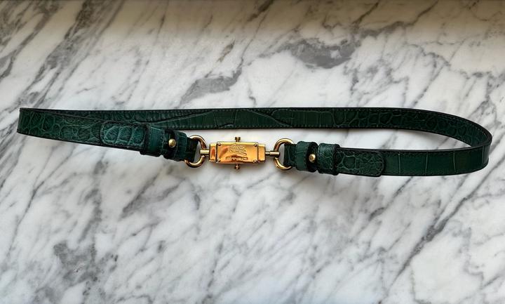 Пояс Etro