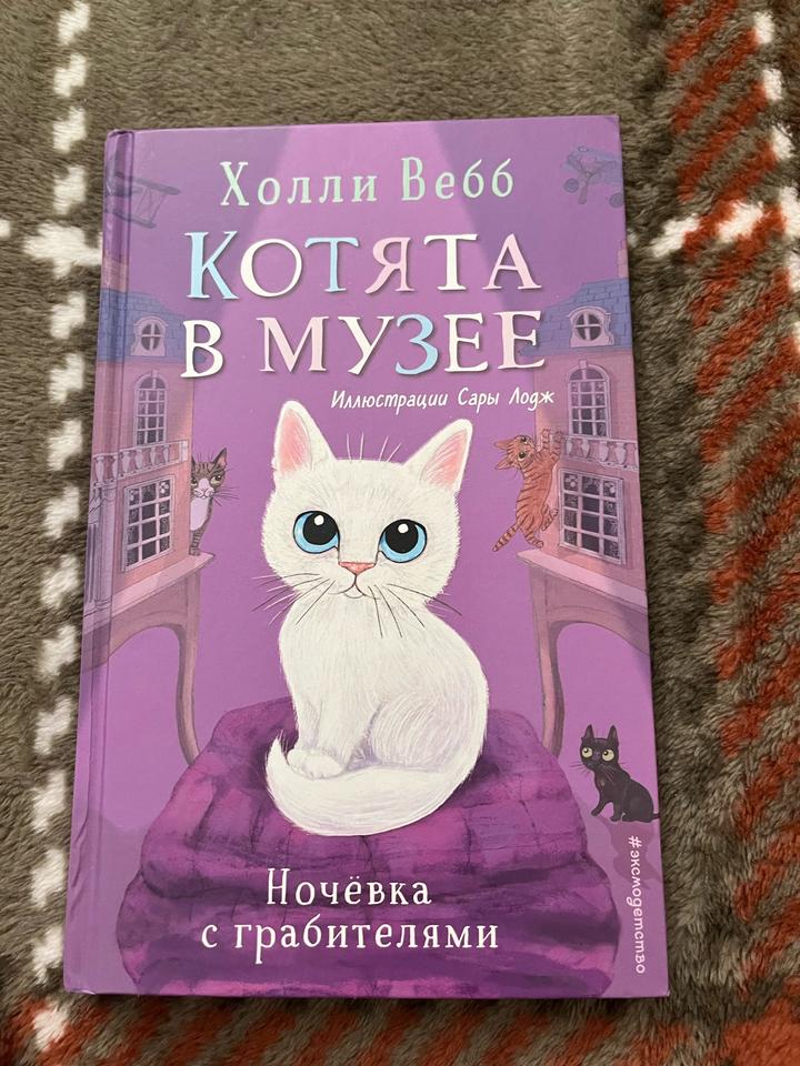 Котята в музее. Ночёвка с грабителями