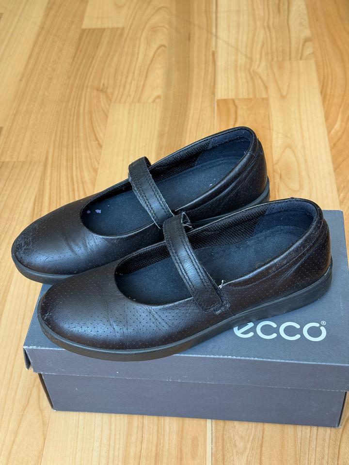 ECCO
