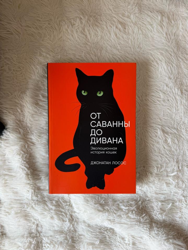 От саванны до дивана