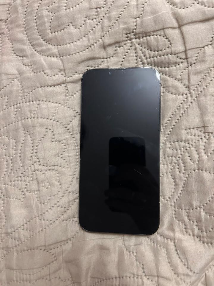 Apple iPhone 13 Pro Max 256