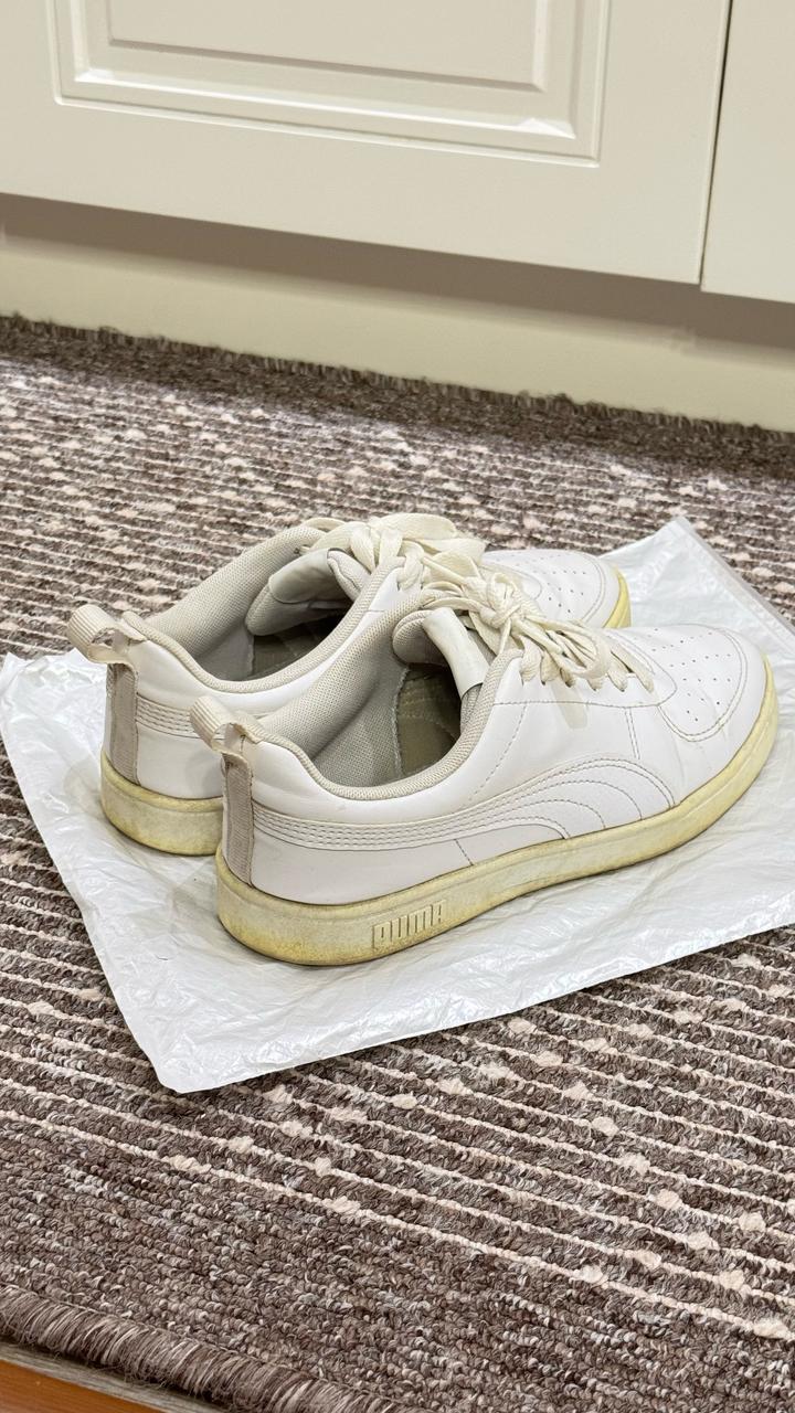 Puma