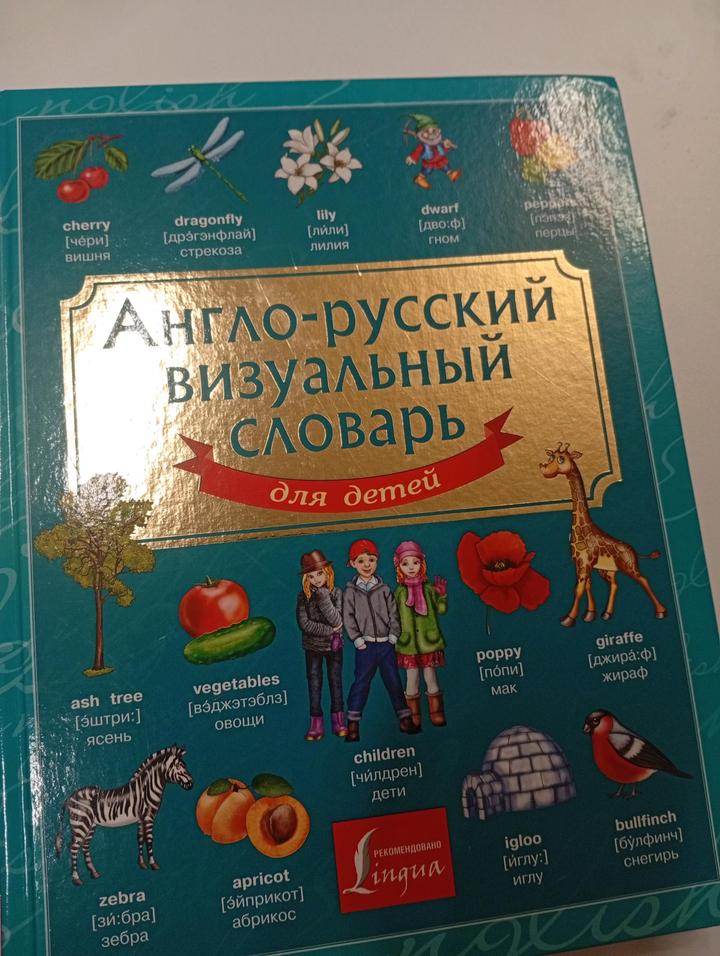 lingua