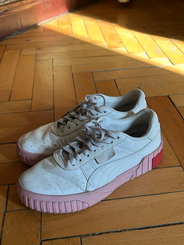 Puma