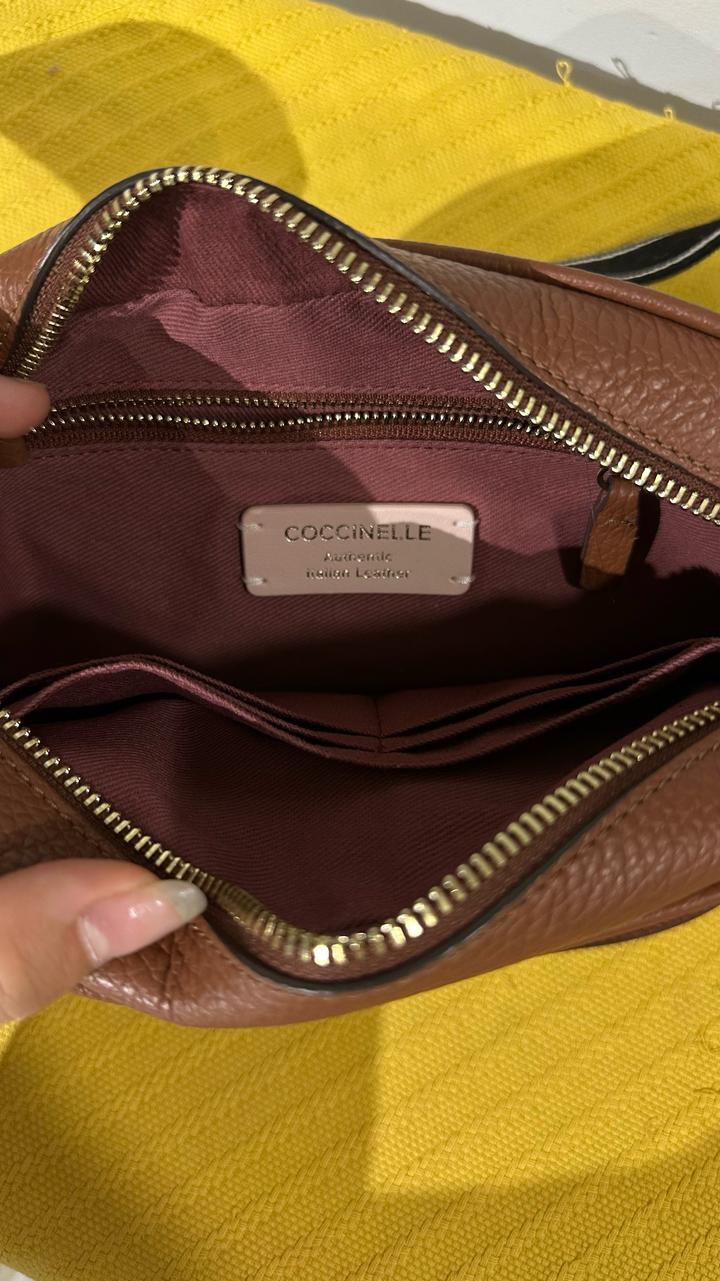 Coccinelle