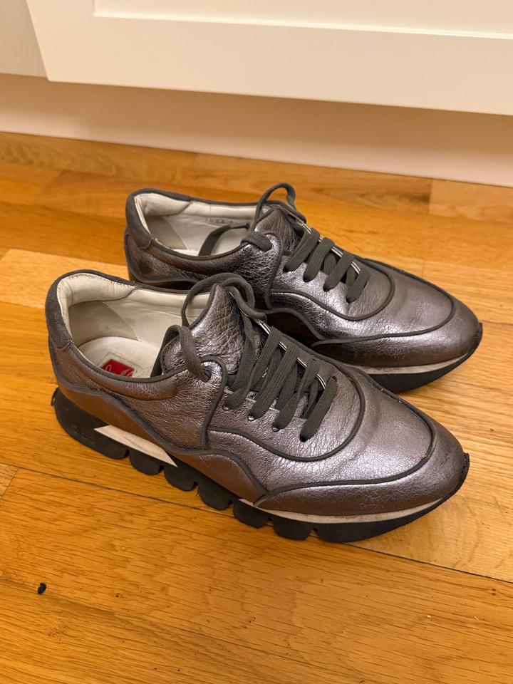 Pollini