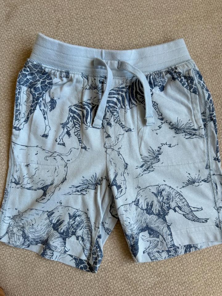 Шорты GAP