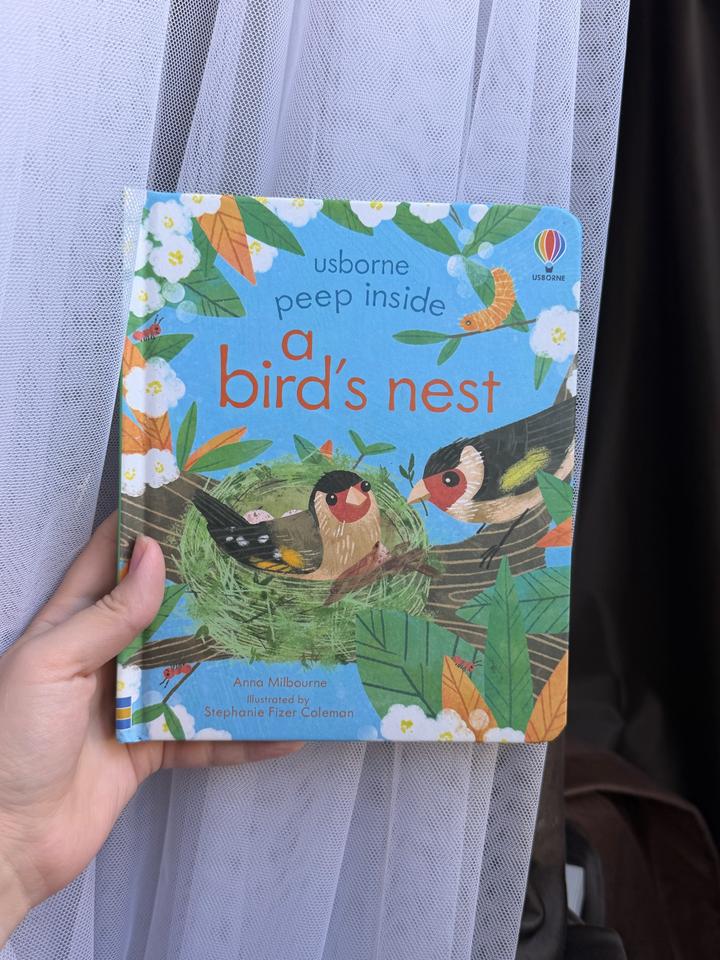 Детская книга: Peep Inside a Bird's Nest