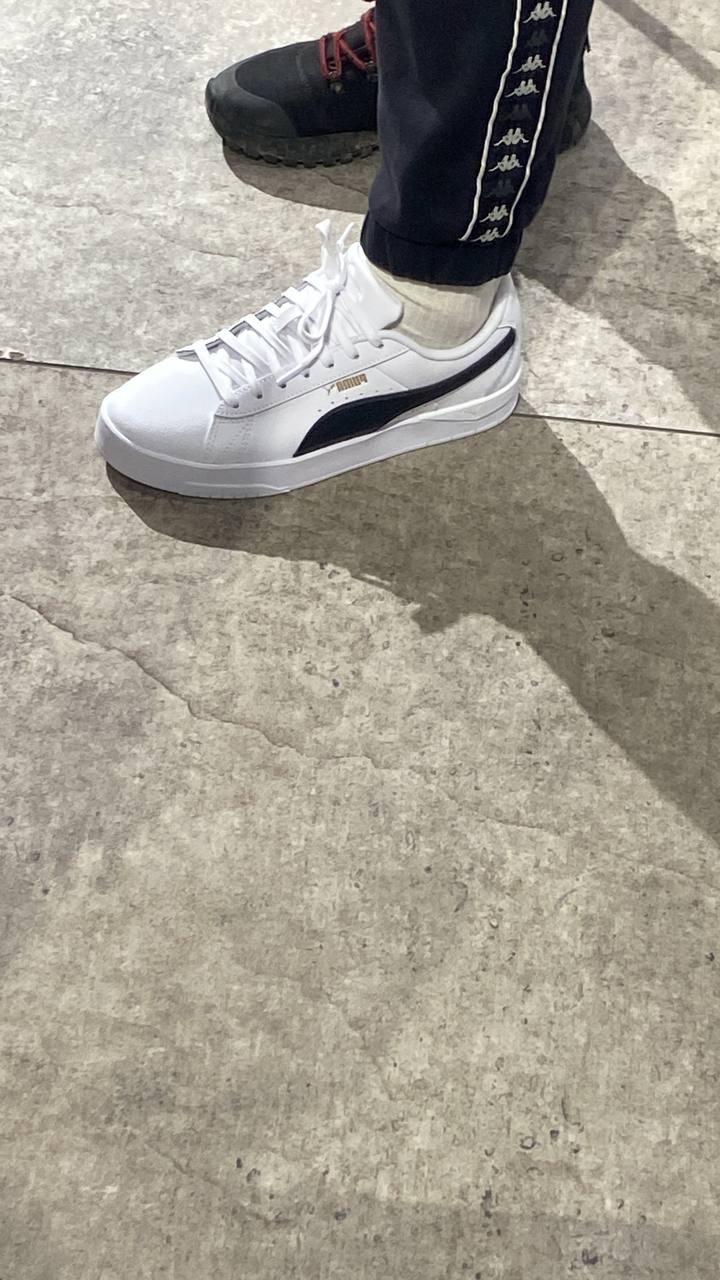 Puma