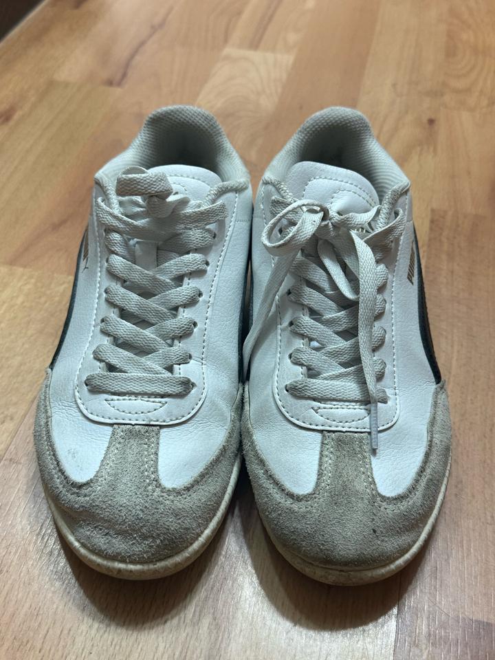 Puma