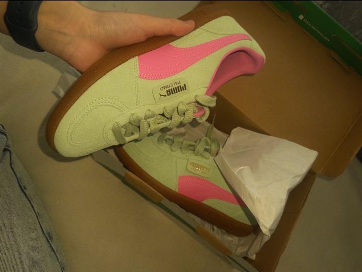 Puma