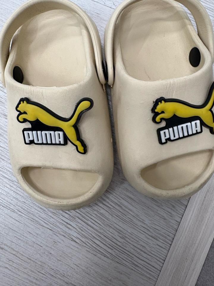 Puma