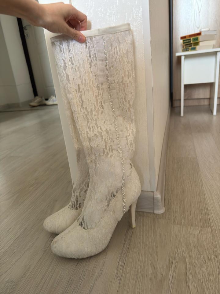 Skovolini