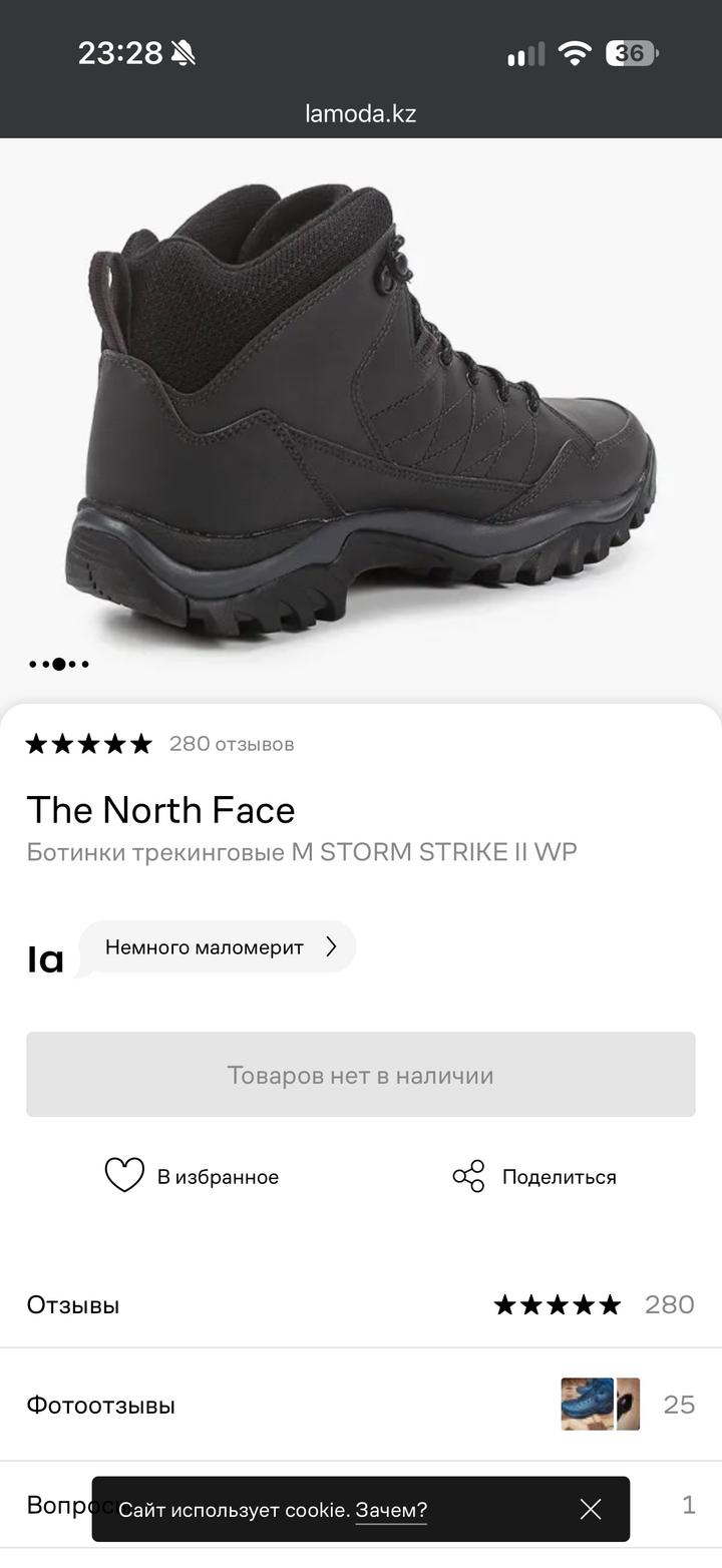 Ботинки The North Face Storm Strike II WP
