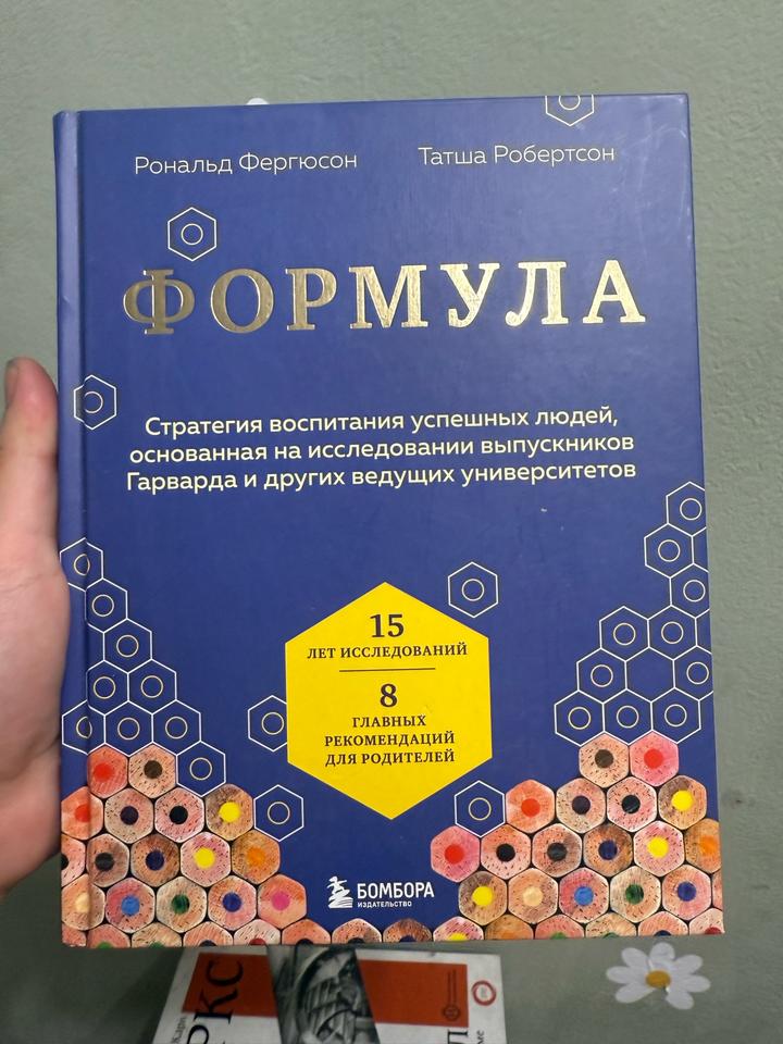 Формула. Стратегия воспитания успешных людей