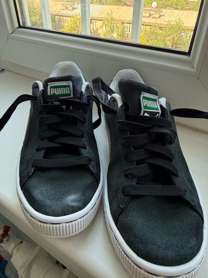 Puma