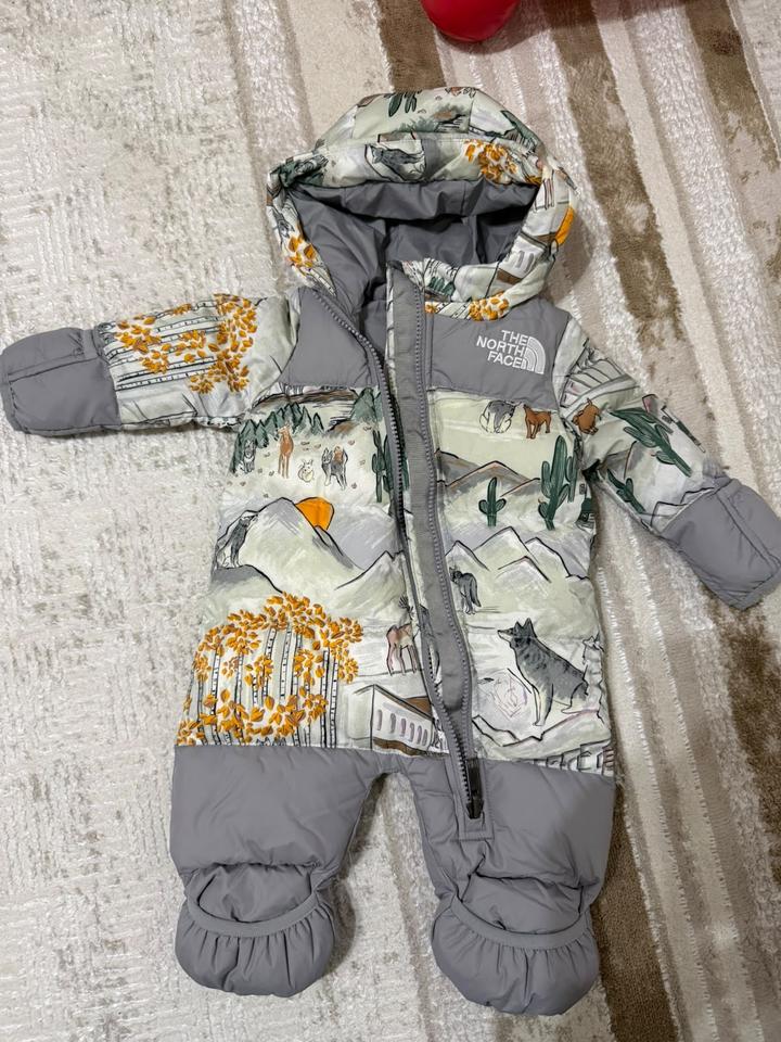 Зимний комбинезон The North Face