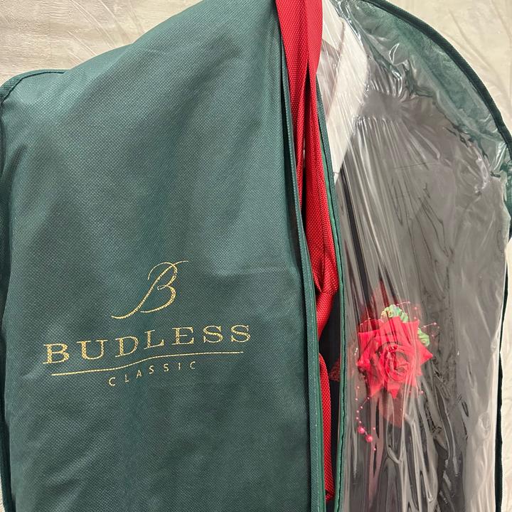 budless.kz