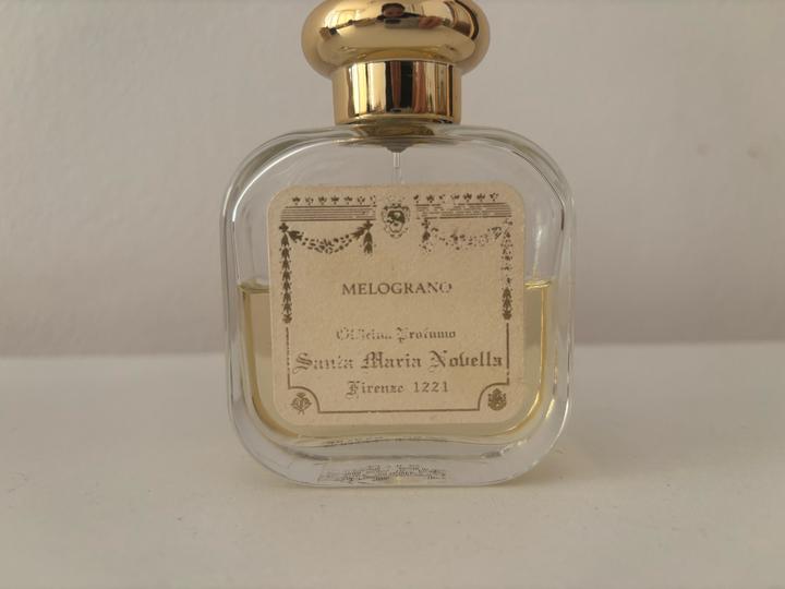 santa maria novella