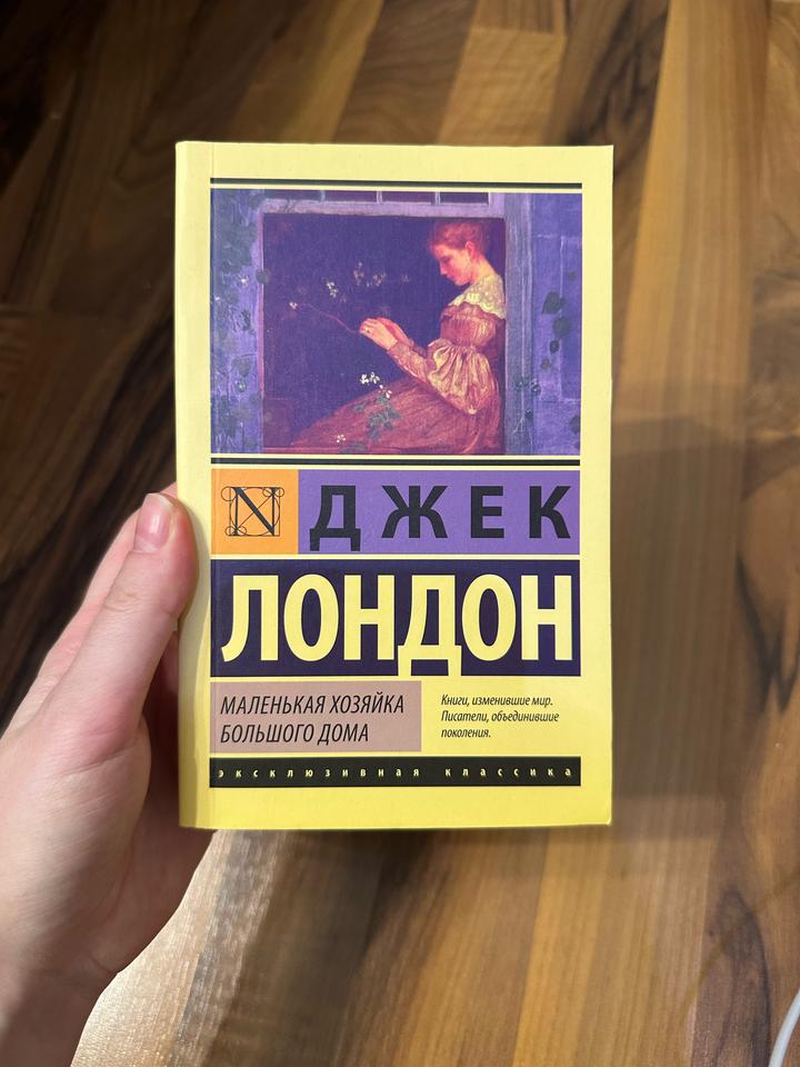 Книга “Маленькая хозяйка большого дома”