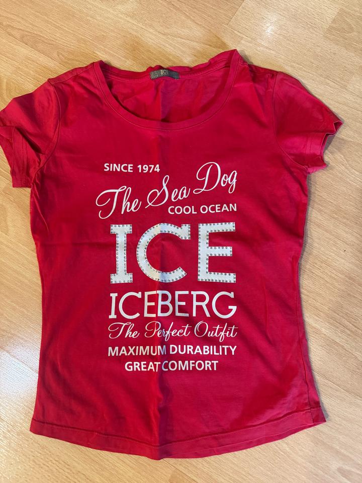 ICEBERG