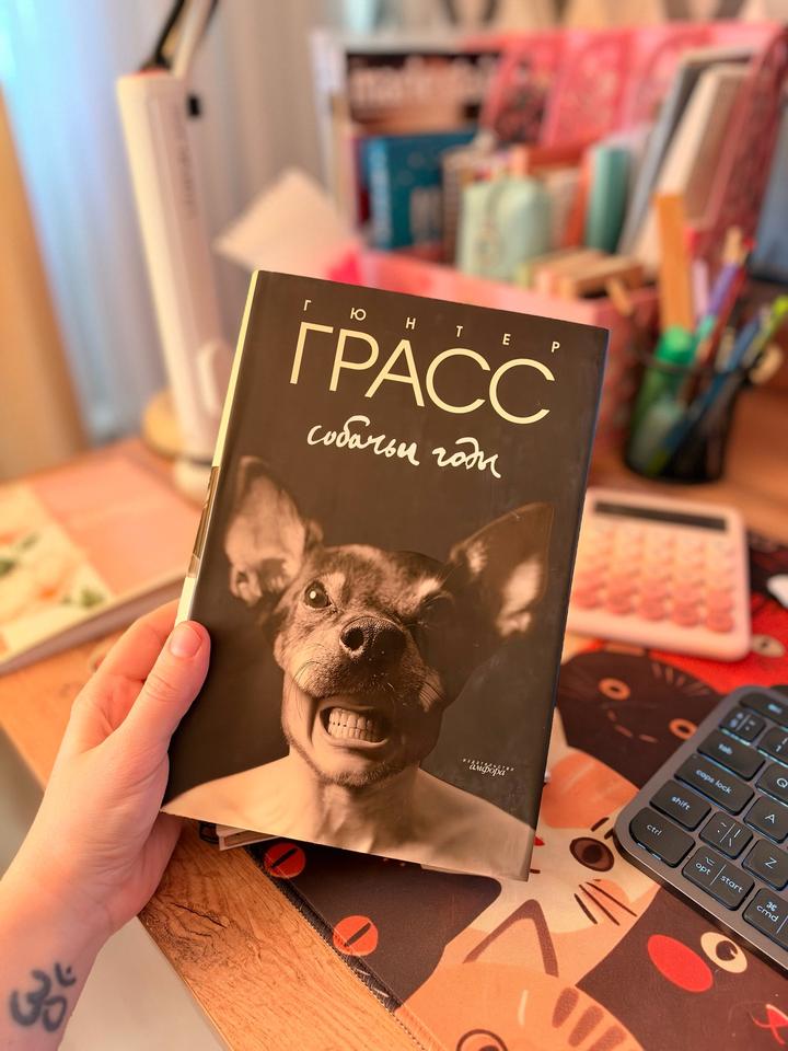 «Собачьи годы» Гюнтер Грасс