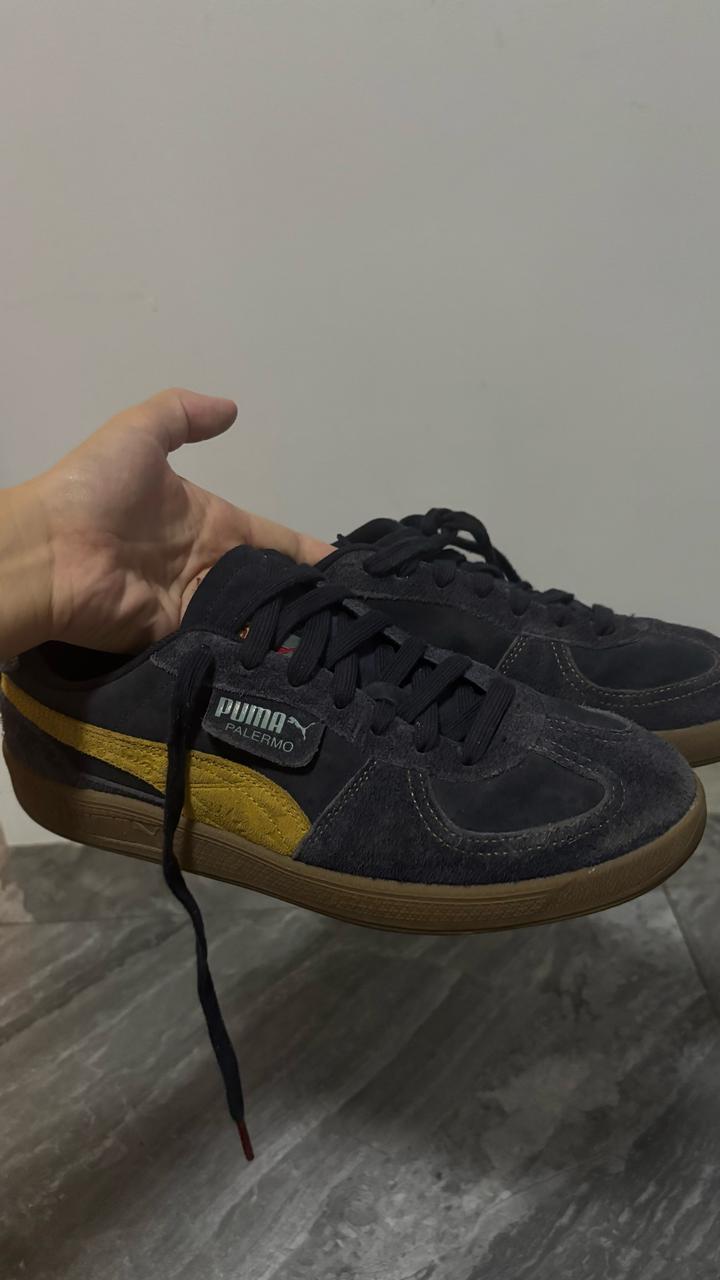 Puma