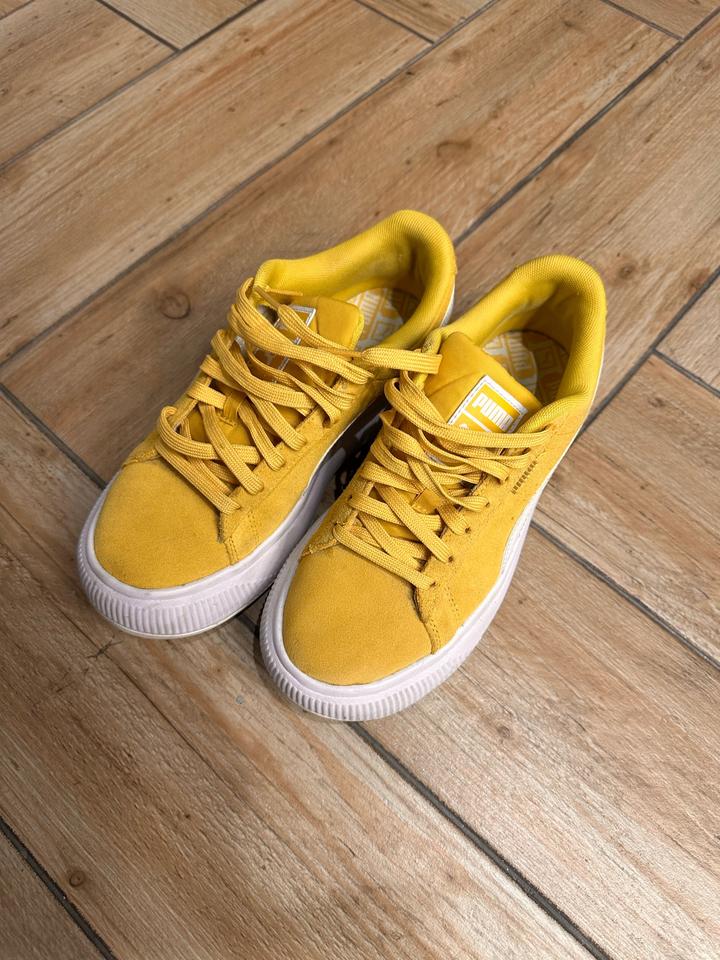 Puma