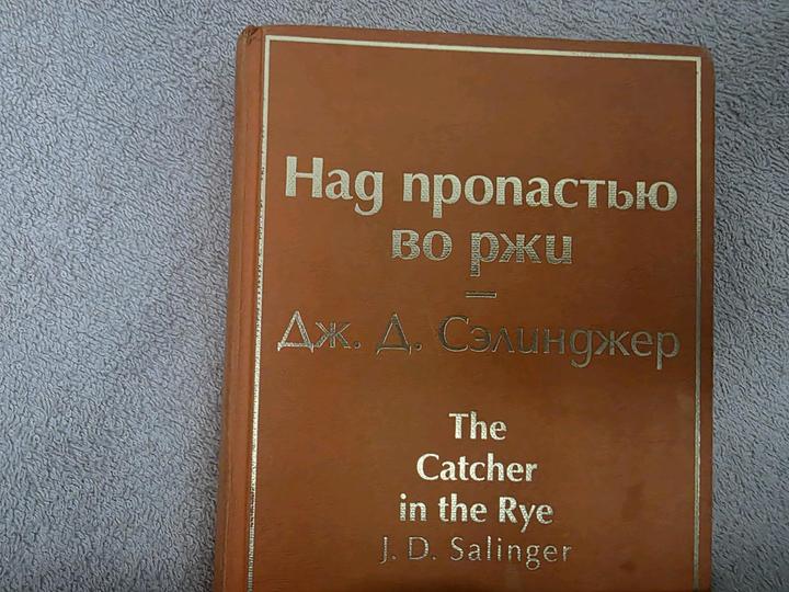 Над пропастью во ржи