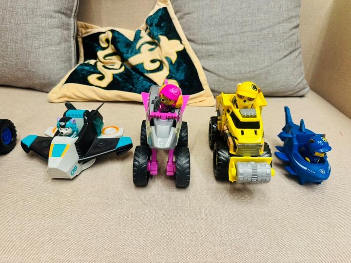 Paw Patrol