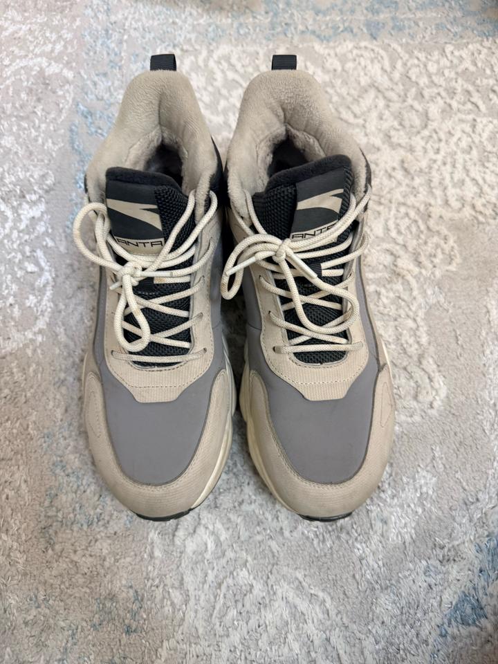 Anta