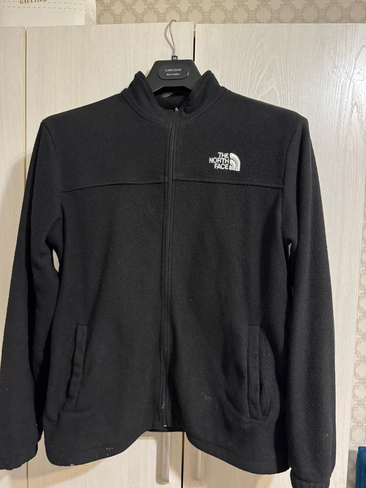 Толстовка The North Face