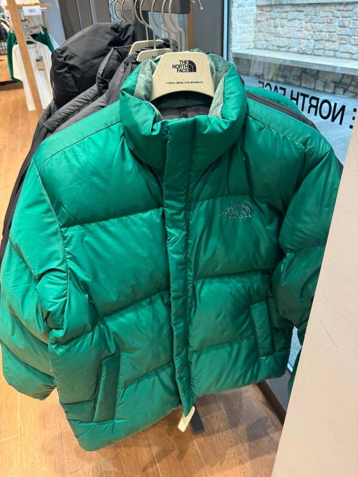 Пуховик The North Face