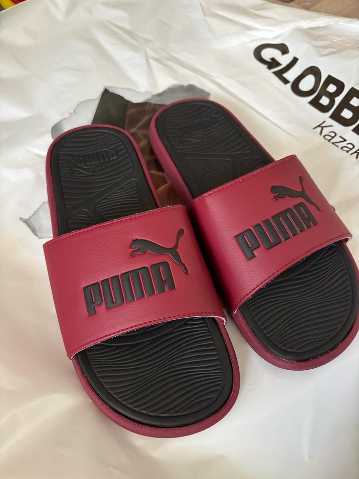 Puma