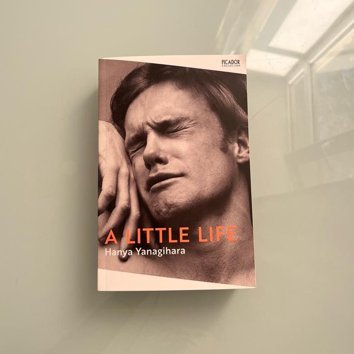 book a little life