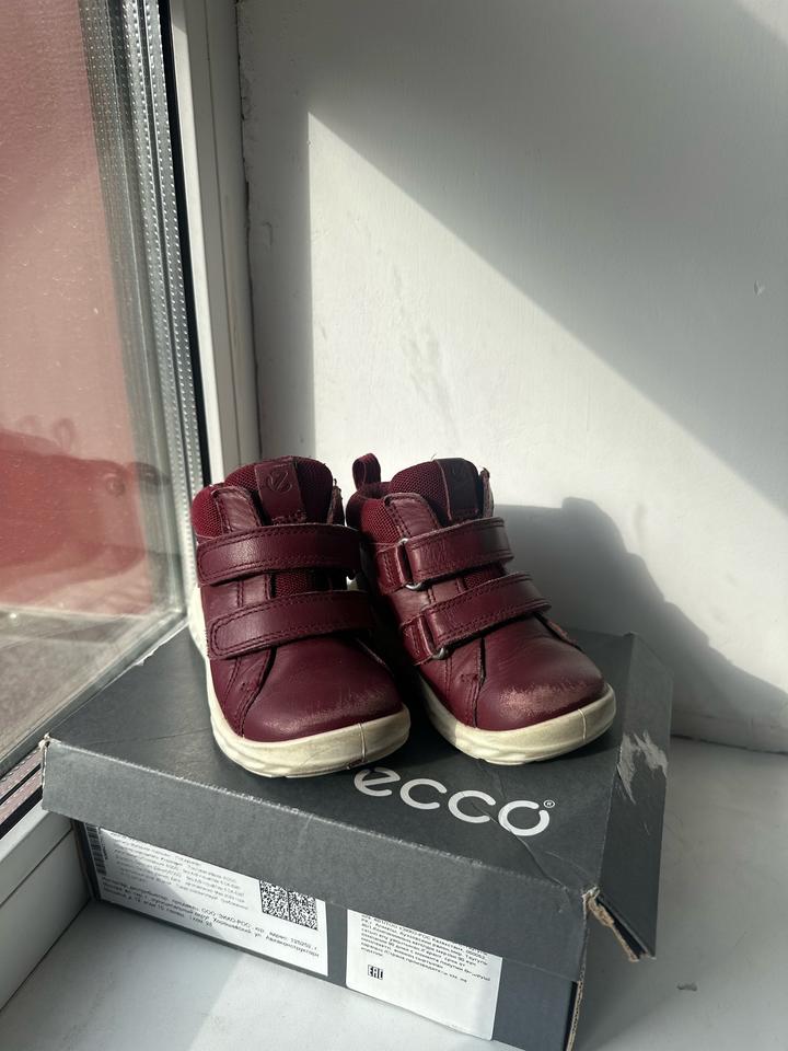 ECCO