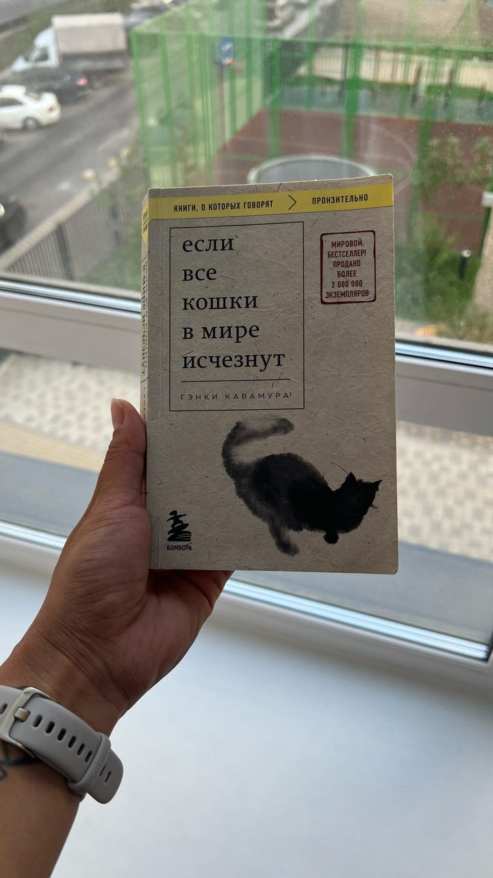 Если все кошки в мире исчезнут