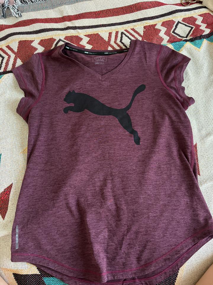 Puma