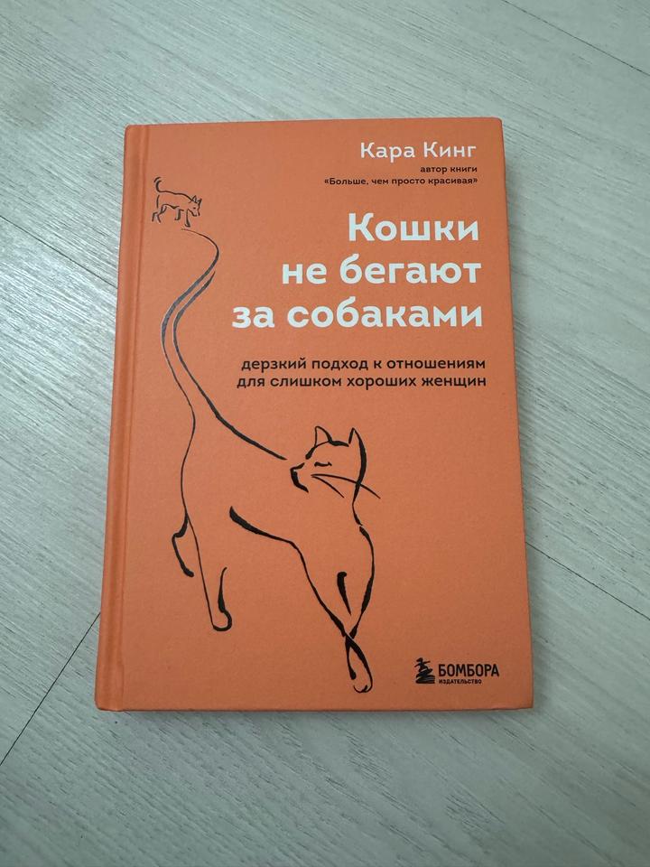 Кошки не бегают за собаками