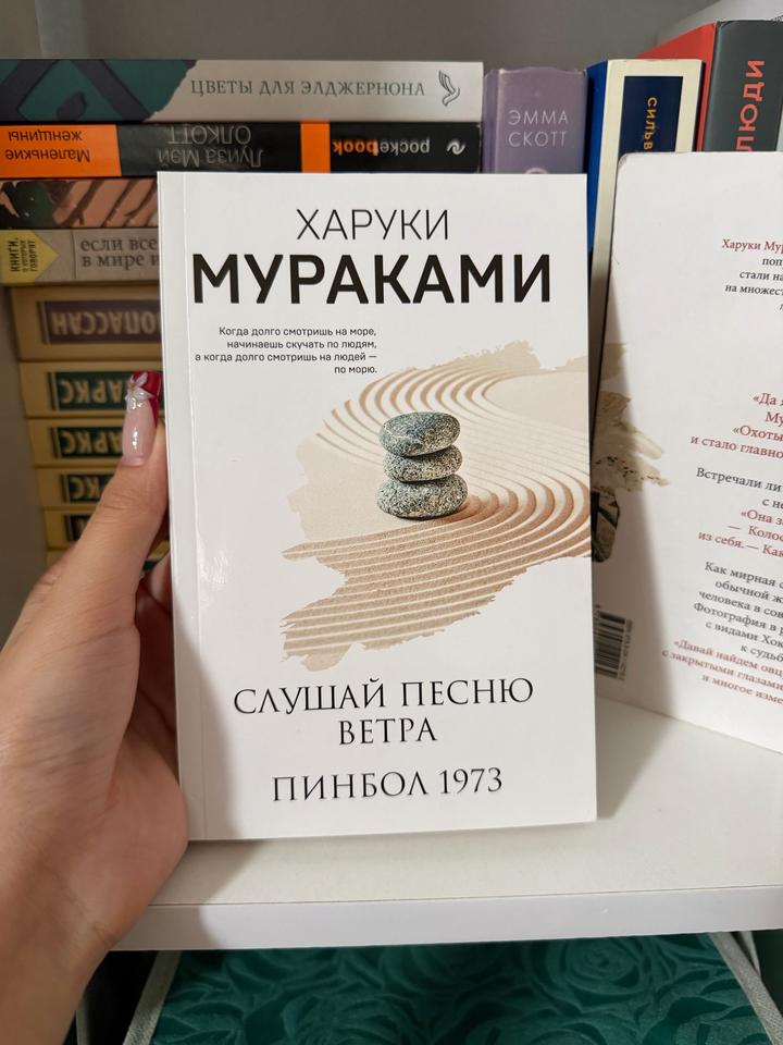 Слушай песню ветра. Пинбол 1973
