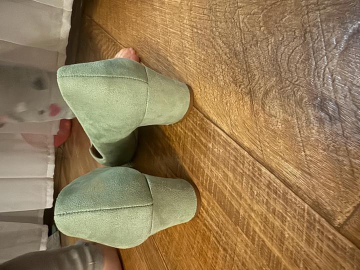 T.Taccardi