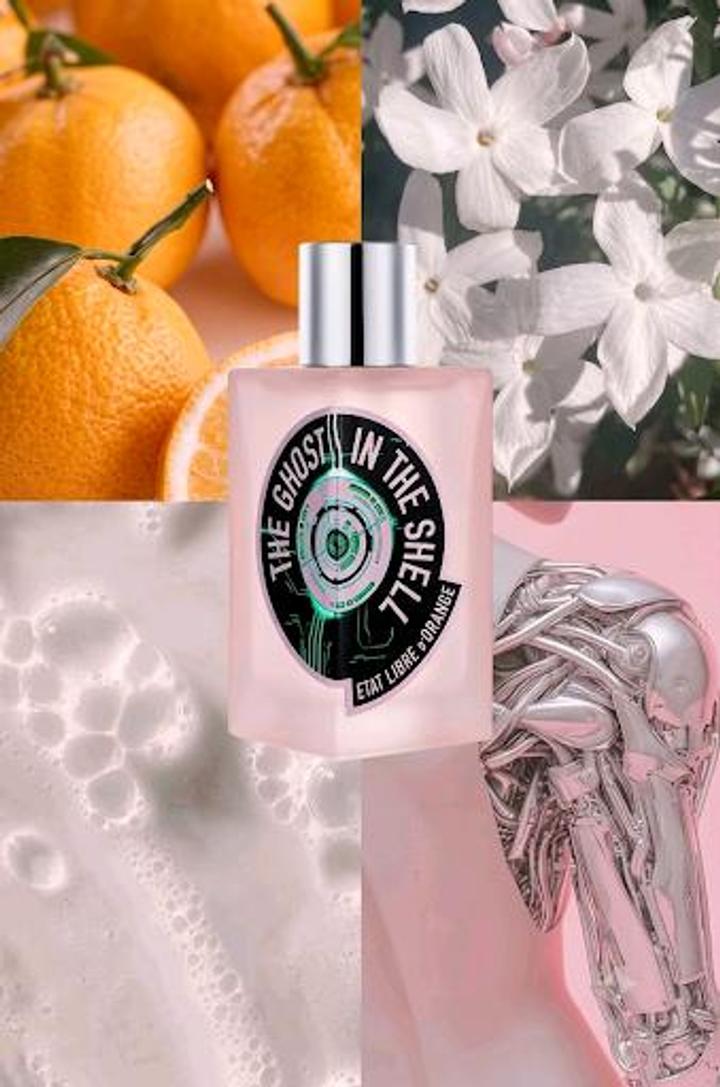 Etat Libre d’Orange
