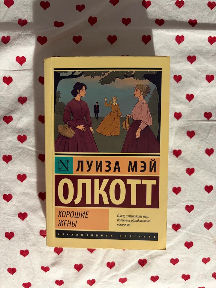 Хорошие жены книга