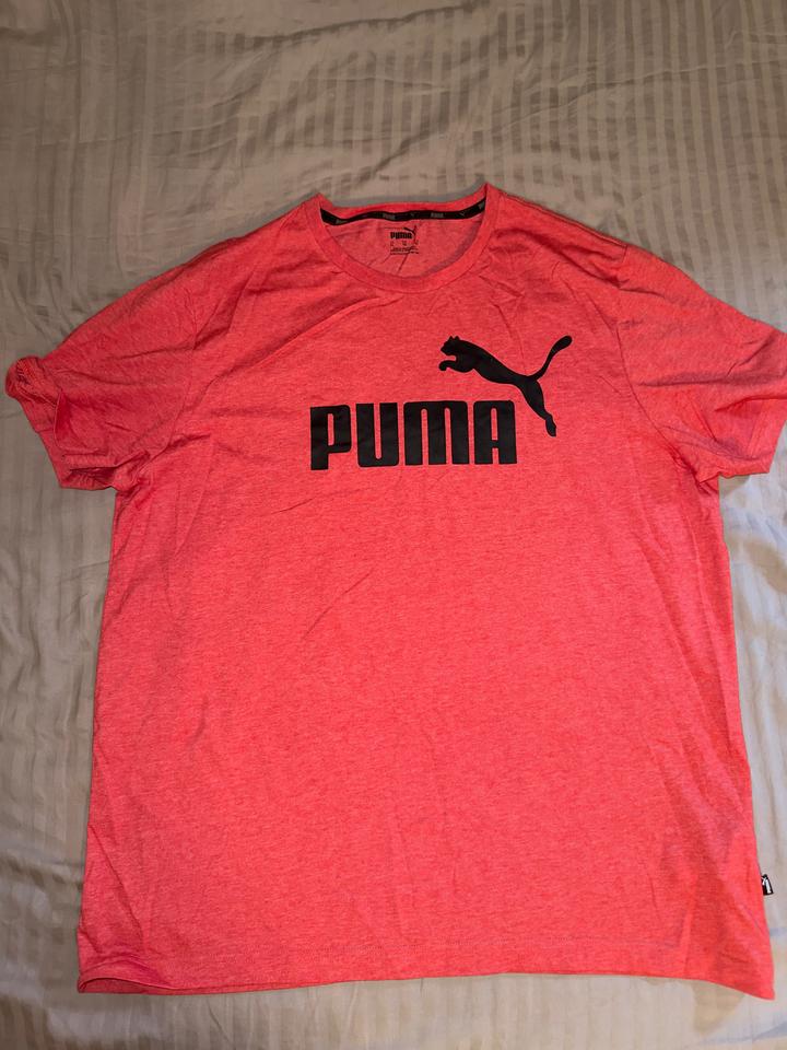 Puma